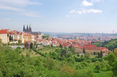 Prag. Bahar. Beroun Hills. Çek Cumhuriyeti.
