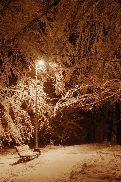 Снежный парк в темноте. Зима . — стоковое фото