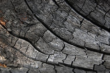 Soyut yanık ahşap arka plan