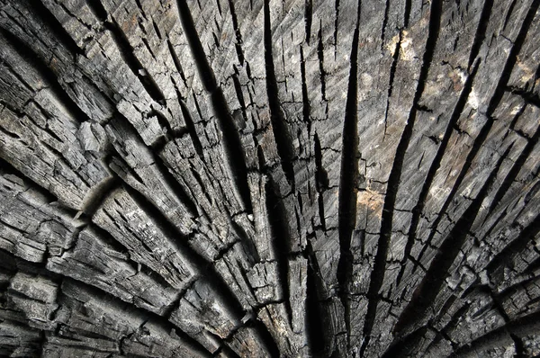 Fondo abstracto de madera quemada — Foto de Stock