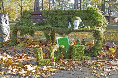 Bahçe bitki dekorasyon, floristics tasarım ile. Bahçe Dekorasyon öğeleri