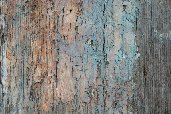 Tinta rachada em uma parede de madeira — Fotografia de Stock