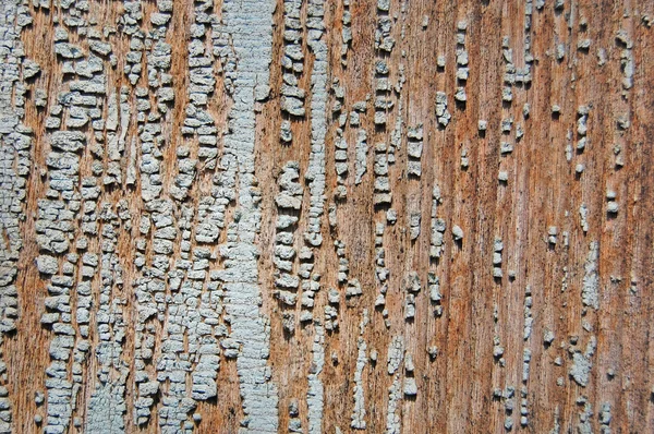 Knäckt måla på en trävägg. Vägg från träplankor med paint spår. — Stockfoto