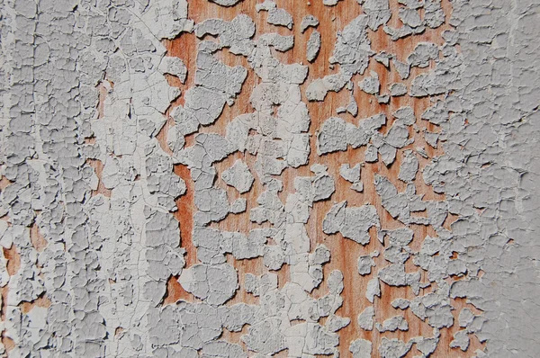 Pintura agrietada en una pared de madera . — Foto de Stock
