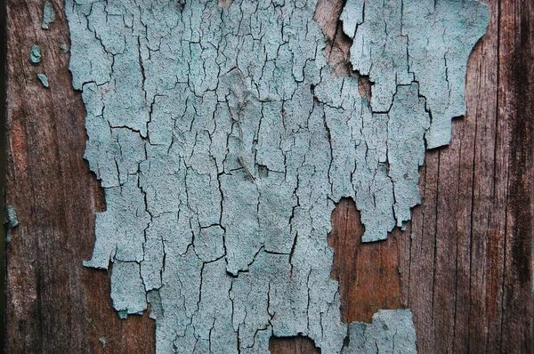 Pintura agrietada en una pared de madera . —  Fotos de Stock