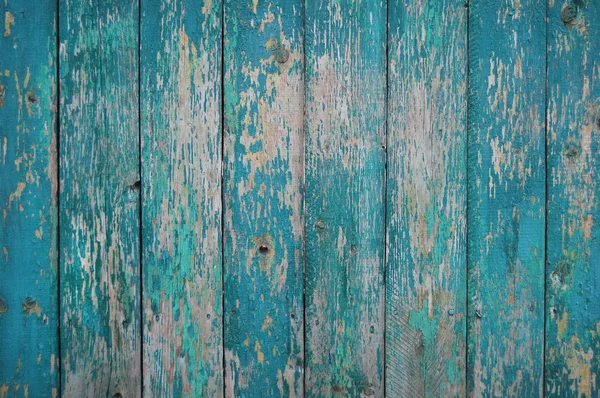 Tavole di legno verde, palizzata — Foto Stock