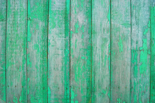 Tavole di legno verde, palizzata — Foto Stock