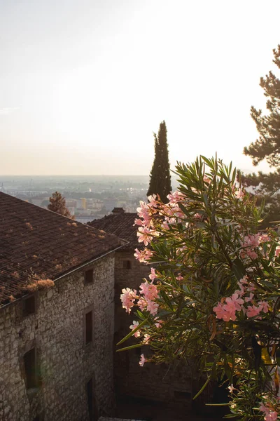 Skyline Brescia Från Slottet Vid Solnedgången Romerska Fornborgen Lombardiet Italien — Stockfoto