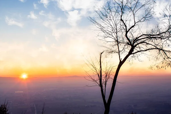 Árbol Silueta Panorámica Italia Con Puesta Sol Árbol Silueta Contra —  Fotos de Stock