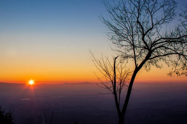 Pohon Siluet Panorama Italy Dengan Sunset Tree Siluet Terhadap Matahari — Stok Foto