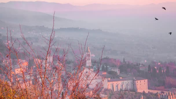 Panoramatický Výhled Assisi Provincii Umbria Panorama Města Mrakodrap Při Západu — Stock video