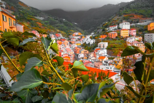 Riomaggiore, Liguria İtalya. Ulusal Park Cinque Terre 'deki geleneksel tipik İtalyan köyü. Dağdaki renkli binalar.