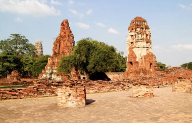 UNESCO 'nun dünya mirası. Ayutthaya Tarih Parkı 'ndaki antik arkeolojik alan, Ayutthaya' daki arkeolojik alanlar, antik ve güzel. Ayutthaya Eyaleti, Tayland.