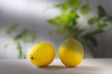Taze limon ya da limon, yemek masasında sarı bir top, arka planda bulanık limon..
