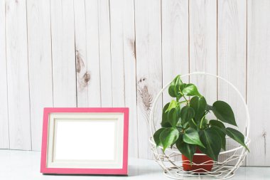 Living room interior design With picture frames and trees for air purification., Stylish interior design of living room.