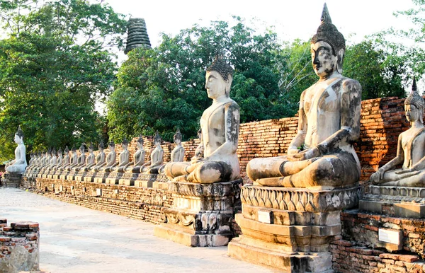 Άγαλμα Του Βούδα Και Αρχαιολογικός Χώρος Ayutthaya Ερείπια Unesco Παγκόσμια — Φωτογραφία Αρχείου