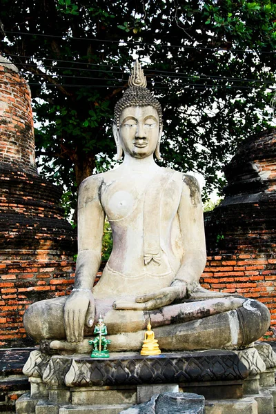 Buddha Staty Och Arkeologisk Plats Ayutthaya Ruiner Unesco Världsarv Antik — Stockfoto