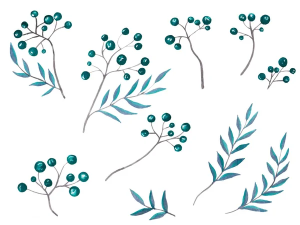 Ilustração aquarela de ramos incríveis com pequenas bagas azuis e aquamarinas escuras com folhas azuis e violetas coloridas para belo design em fundo isolado branco. — Fotografia de Stock