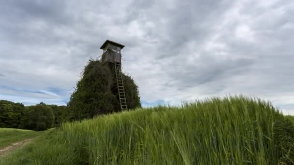 Hochsitz mit Wolken — Stockvideo