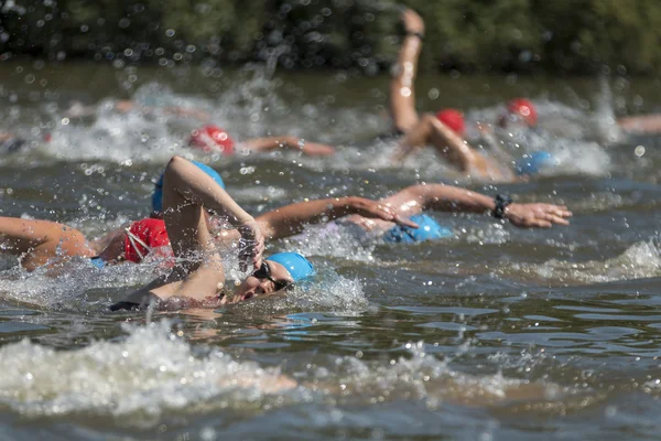 Simming athletes — Stock Photo, Image