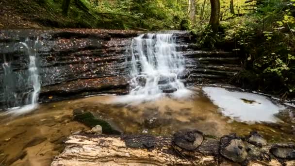 Wasserfall im Struempfelbachtal — Stok video