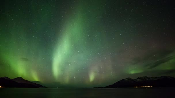 Polarlichter Norwegen içinde — Stok video