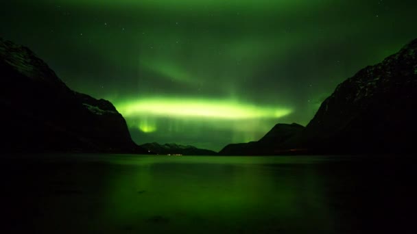 Polarlichter w Norwegen — Wideo stockowe