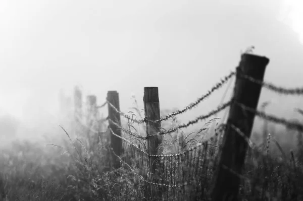 Old fence in the fog in England morning