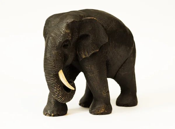Elephant Stock Image