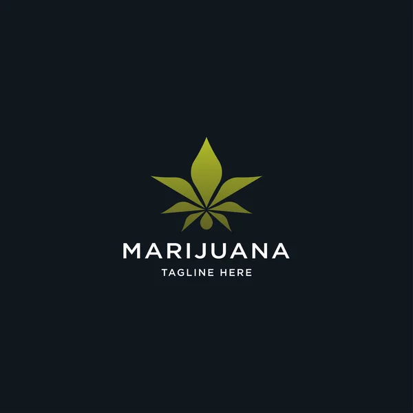 Grön Cannabis Marijuana Hampa Blad Logotyp Och Symbol Royaltyfria Stockvektorer