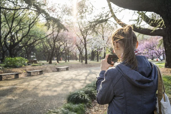 Meisje maakt foto's in park — Stockfoto