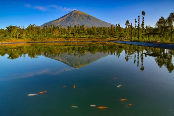 Embung Kledung göllerindeki Sindoro Dağı 'nın güzel yansıması. Doğal görünüm arkaplan ya da duvar kağıdı için mükemmel. 