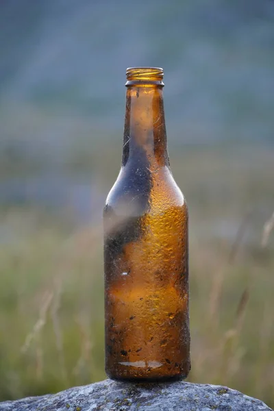 Old glass bottle in nature, beer bottle