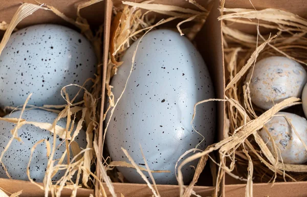 Easter background with Easter eggs in box with the hay, Easter card with copy space for text.