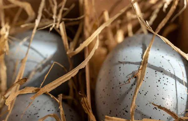 Easter background with Easter eggs in box with the hay, Easter card with copy space for text.