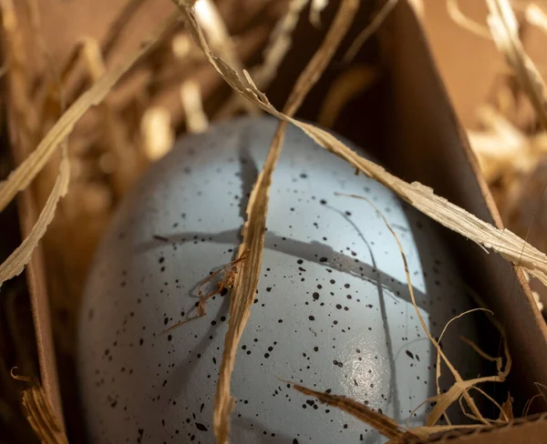 Easter background with Easter eggs in box with the hay, Easter card with copy space for text.