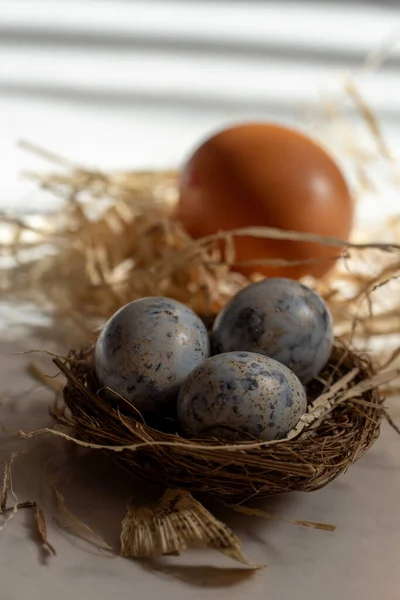 Three small blue eggs in the nest with one big Easter egg with the hay