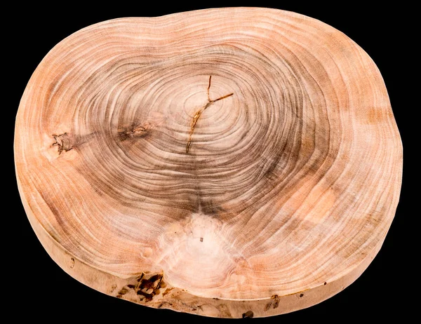 Timber texture. Vitex pinnata L. Synonyms of the family Verbenaceae.