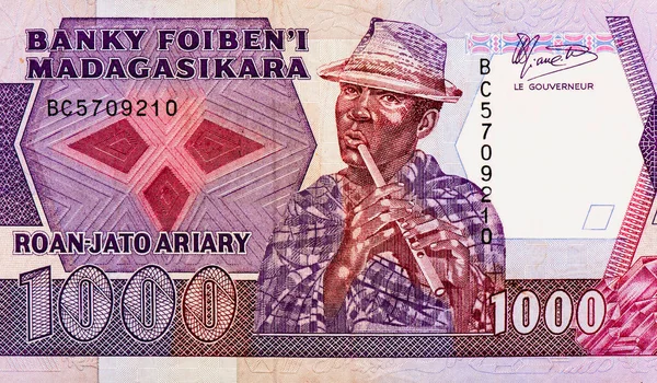 Malagassisk Flöjtspelare Med Hatt Porträtt Från Madagaskar 1000 Franc 200 — Stockfoto