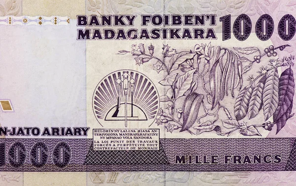Dzikie Rośliny Madagaskaru Portret Madagaskaru 1000 Franków 200 Ariary 1988 — Zdjęcie stockowe