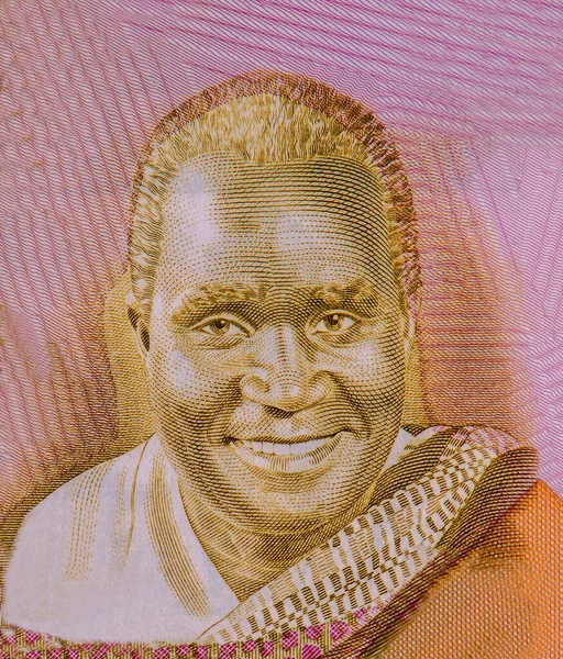 Presidente Kenneth David Kaunda Nacido Abril 1924 Sirvió Como Primer —  Fotos de Stock