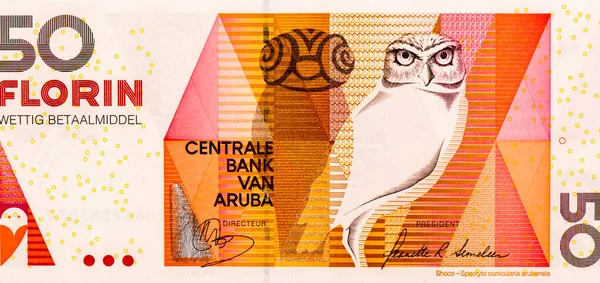 Gravende Uil Portret Van Aruba Florin 2012 Bankbiljetten — Stockfoto