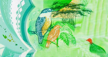 Birds, trees, Portrait from Vanuatu 2000 Vatu, 2014 Polymer Banknotes. clipart