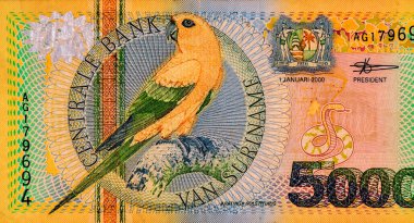 Güneş Muhabbeti Aratinga Gündönümü. Surinam Portresi 5000 Gulden 2000 Banknotları.