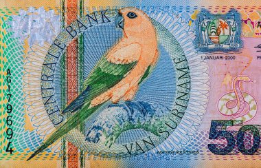 Güneş Muhabbeti Aratinga Gündönümü. Surinam Portresi 5000 Gulden 2000 Banknotları.