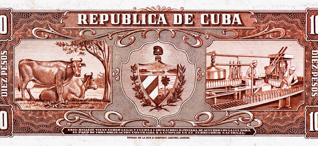 Cows, milk bottling factory Portrait from Cuba 10 Pesos 1960 Banknotes.