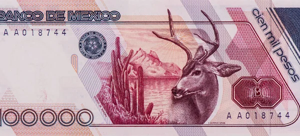 Wüste Maultierhirsche Kakteen Und Bergsee Mexiko 100000 Pesos 1988 Banknoten — Stockfoto