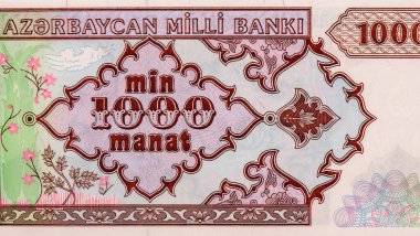 Mammad Amin Rasulzade, Azerbaycan 'dan Portre 1993 Banknotları.