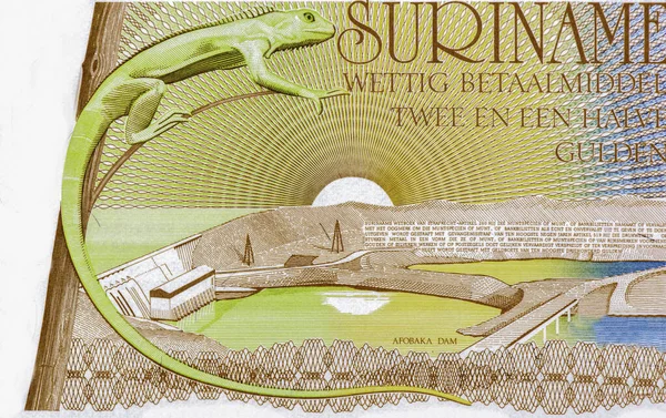 Lagarto Verde Retrato Surinam Gulden 1985 Billetes —  Fotos de Stock