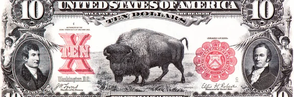 Портрет Бизона Соединенных Штатов Америки Долларов 1901 Банкноты Записка Бизона — стоковое фото